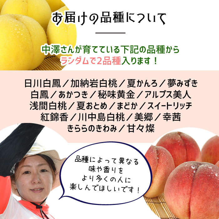 もも 山梨県産 送料無料 朝取 新鮮 農家直送 桃 2品種 お楽しみセット 1.4kg箱 (4〜6玉) 中澤さんの桃 : nk-0004 : 山梨百貨店  - 通販 - Yahoo!ショッピング