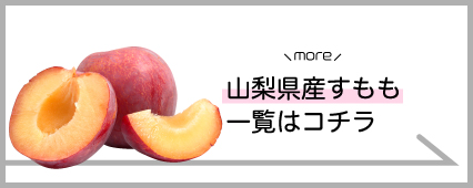 すもも 桃 商品一覧 山梨百貨店
