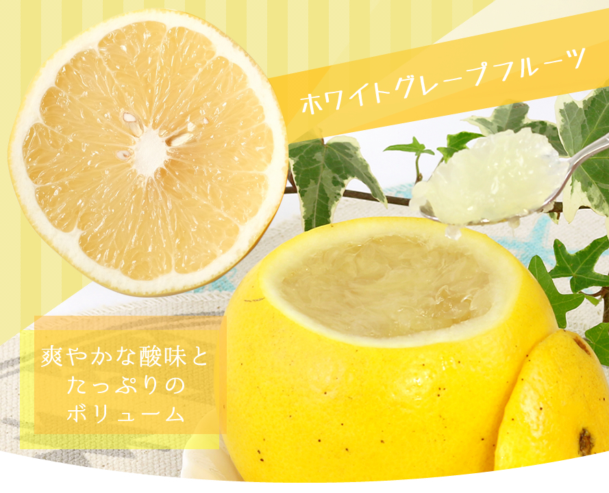 ゼリー 皮の器 まるごと フルーツゼリー グレープフルーツ 2種類