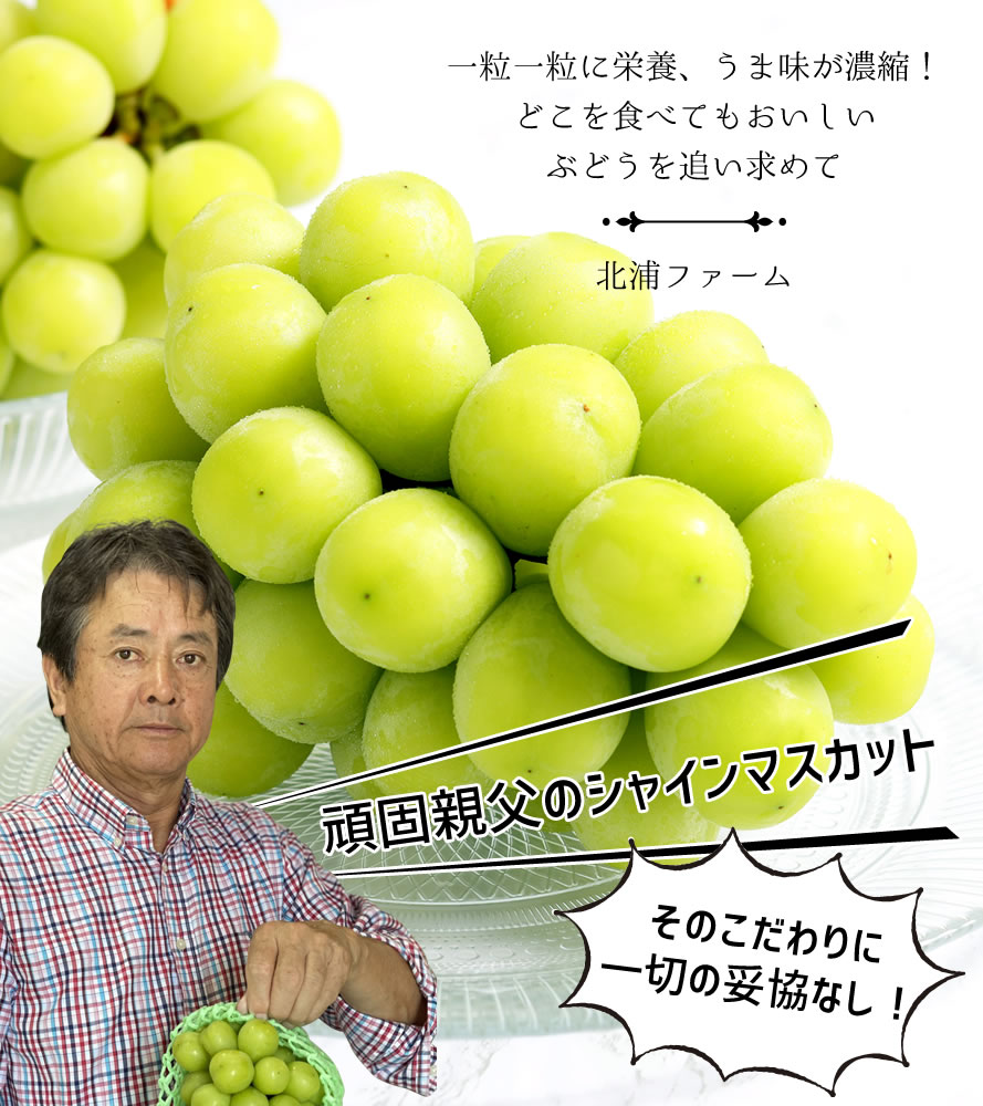 1点限り　山梨県牧丘産　小粒シャインマスカット箱込み2kg