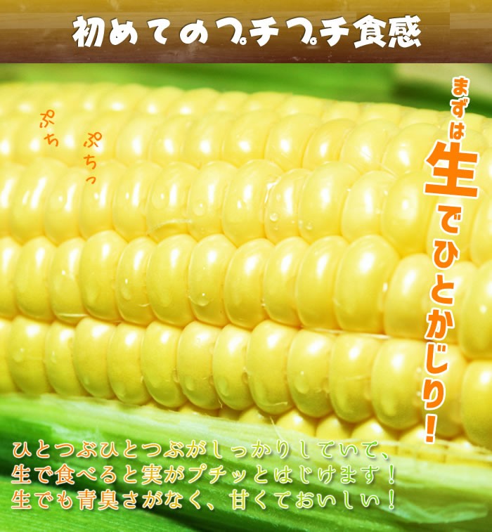 山梨県産 とうもろこし きみひめ