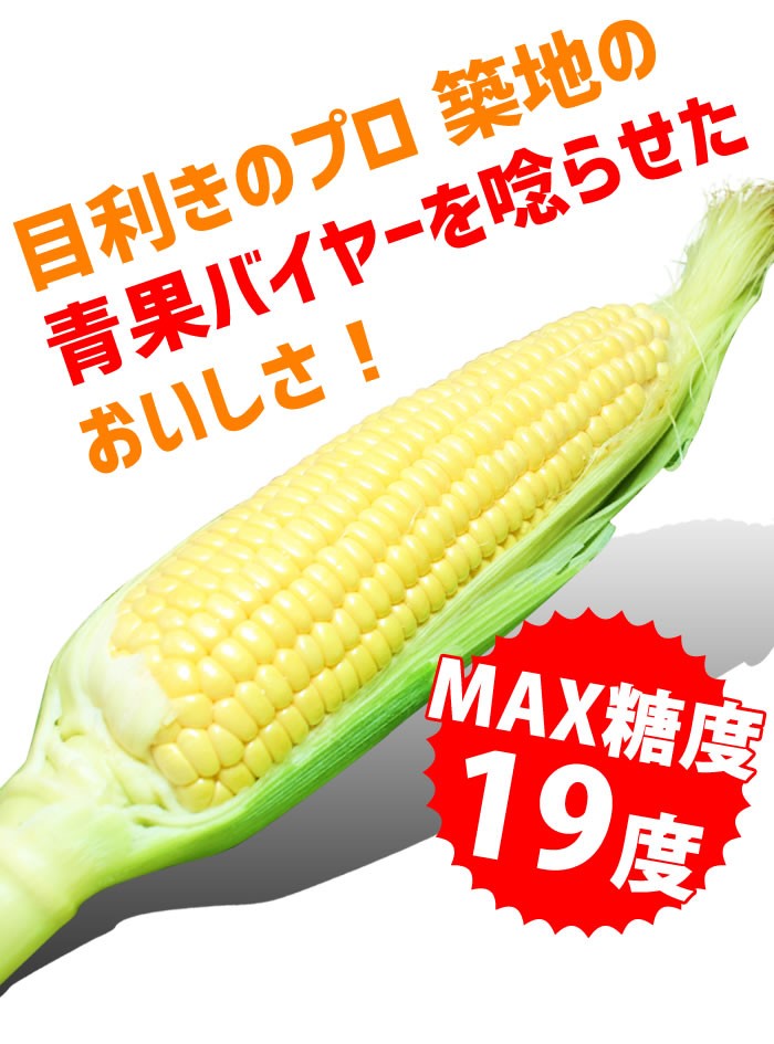 山梨県産 とうもろこし きみひめ