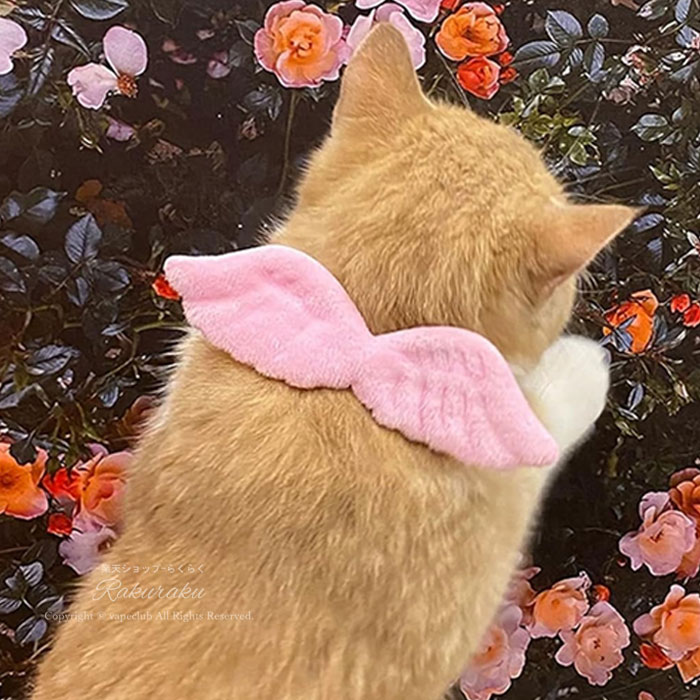 猫用首輪 ペット用首輪 2個セット 天使の羽 デコレーション付き