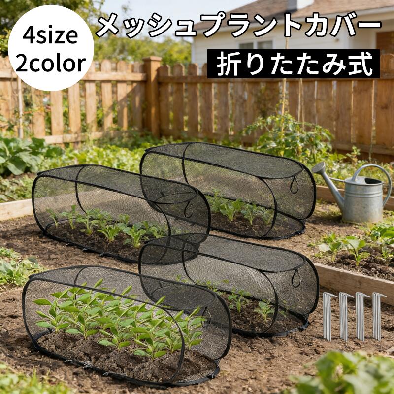 金属製ランタン 約30cm 網状保護カバー付き 2606czn859_desc_12.jpg