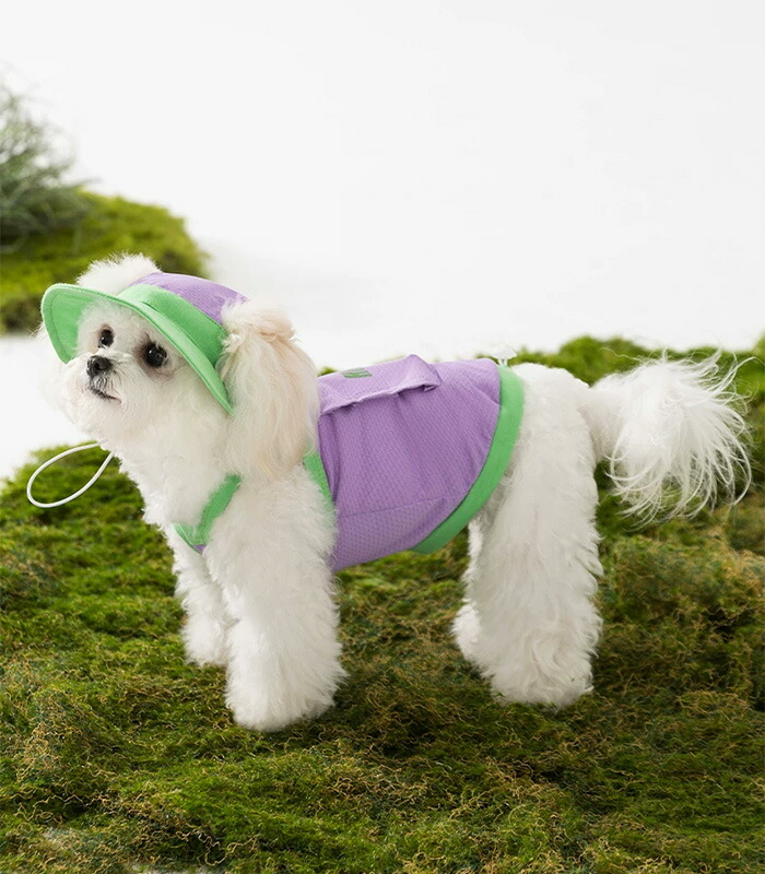 冷感 犬服 キャミソール ノースリーブ タンクトップ 帽子付き Dカン