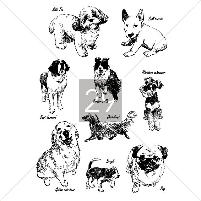 犬 動物 Tシャツ メンズ レディース 半袖 おしゃれ プレゼント 大きい