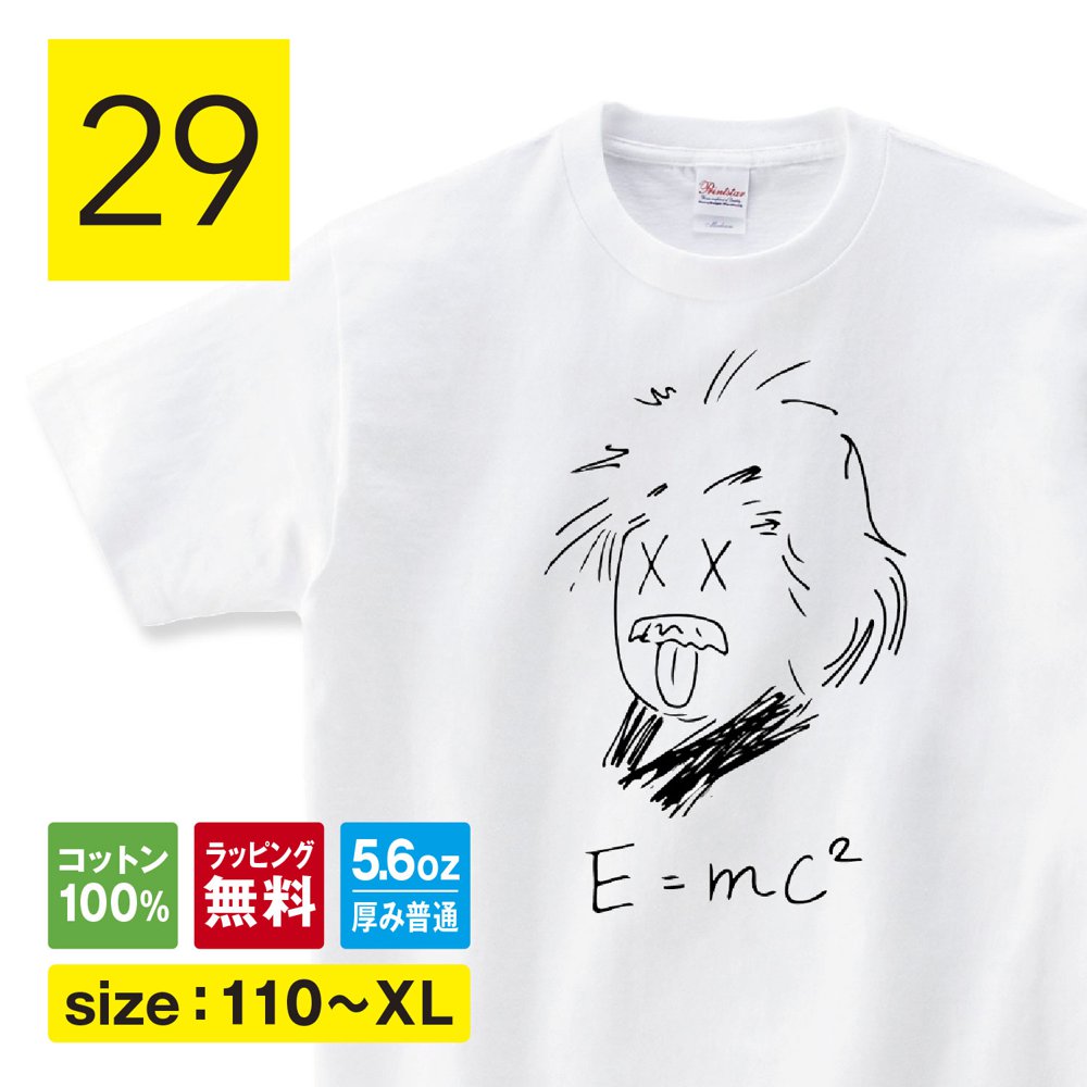 アインシュタイン tシャツ 先生 長袖 ロンT グッズ 数学 雑貨 相対性