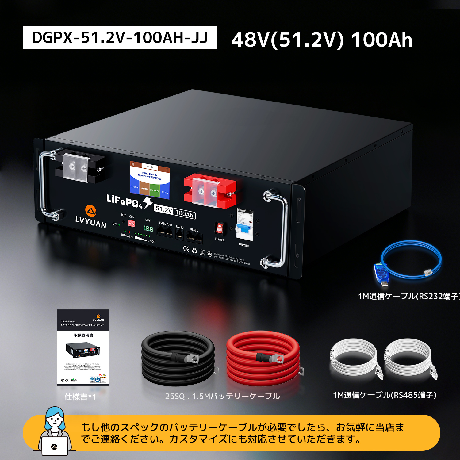 LVYUAN 51.2V 100AH 5.12kWh LiFePO4 リン酸鉄リチウムイオン