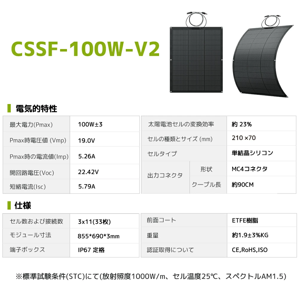 LVYUAN(リョクエン) 単結晶 ETFE 柔性 据置型 100W フレキシブル