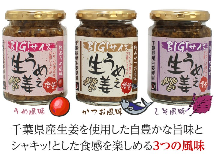うめぇ生姜３つの風味イメージ千葉県産生姜を使用した自豊かな旨味とシャキッ!とした食感を楽しめる３つの風味