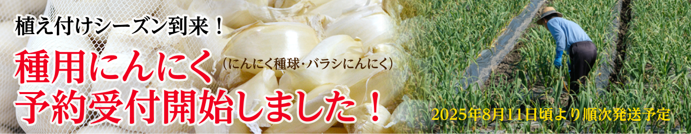 新物入荷