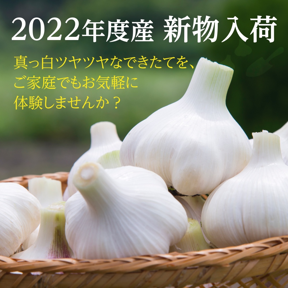 1kg 三重県産 嘉定種 令和4年度産 ニンニク 中球 にんにく yY7fnaoFfM