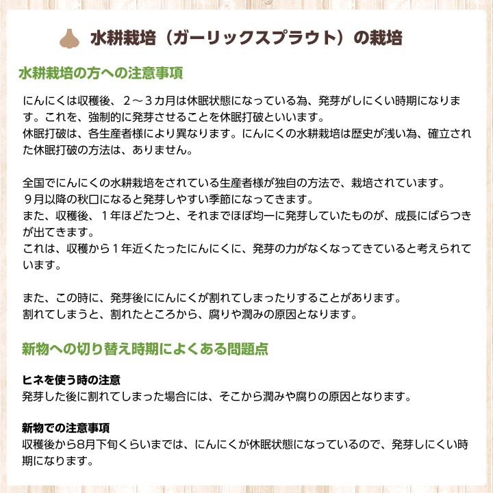 水耕栽培について3露地栽培について