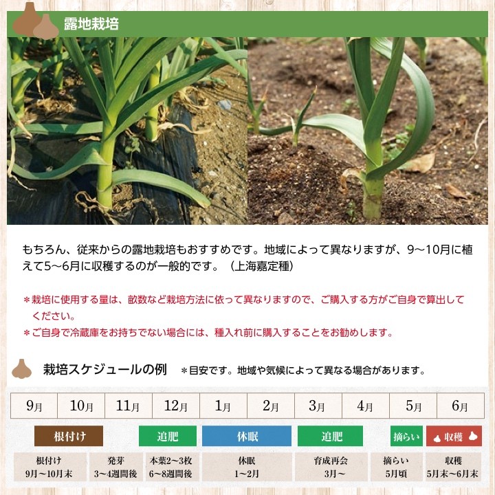 露地栽培について