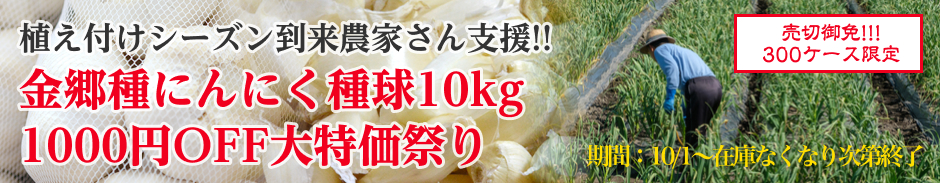 にんにく種球 1kg×3ネット 中国産 上海嘉定種（ホワイト）