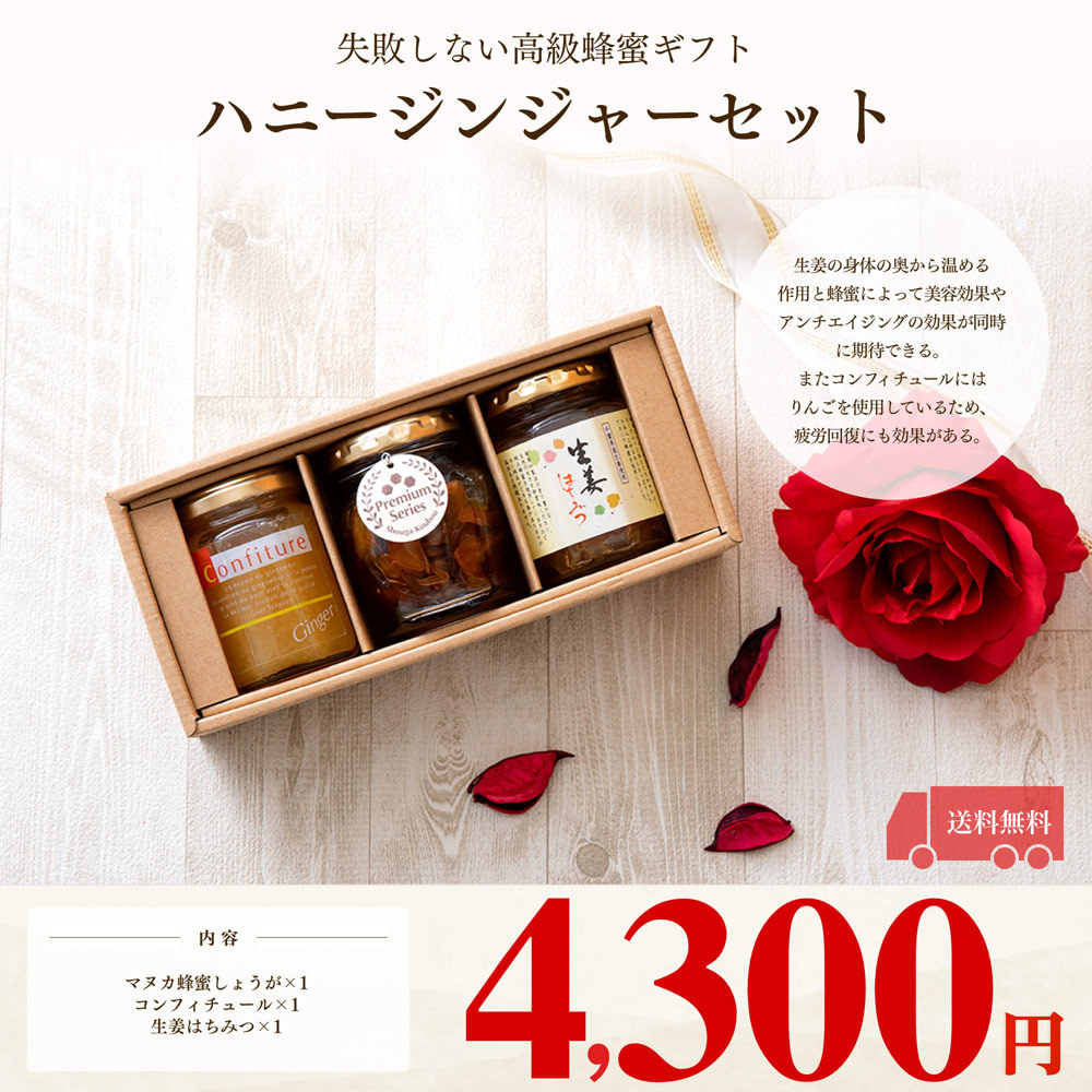 ハニージンジャーセット 送料無料 沖縄を除く ギフト Gift14 2 生姜工房 通販 Yahoo ショッピング