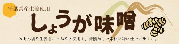 千葉県産生姜使用　しょうが味噌