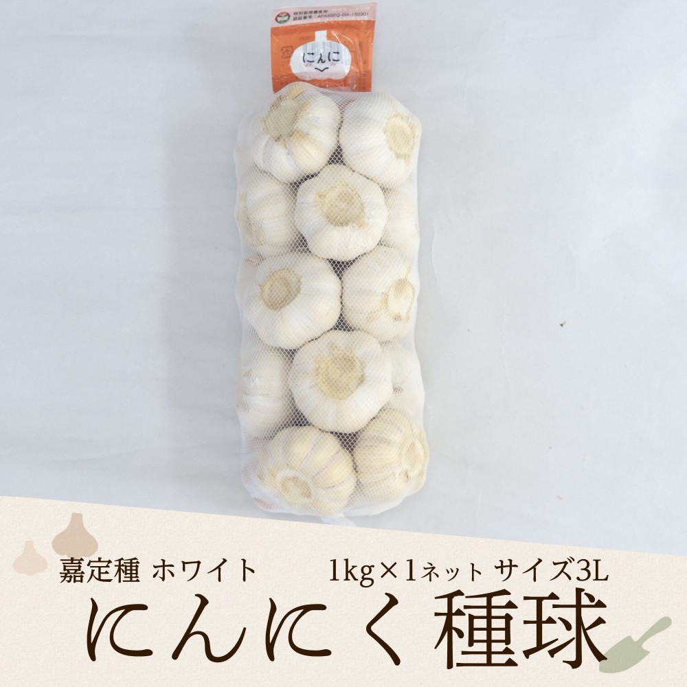 2025年度産 嘉定種ホワイトにんにく種球（4L） 1kg×1ネット 中国