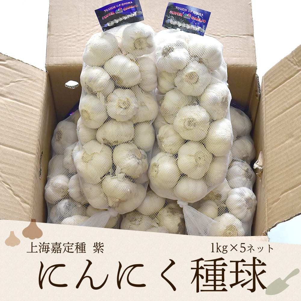 上海嘉定種紫 にんにく種球 1kg×5ネット 中国産 :ninniku-stp-5:生姜工房 - 通販 - Yahoo!ショッピング