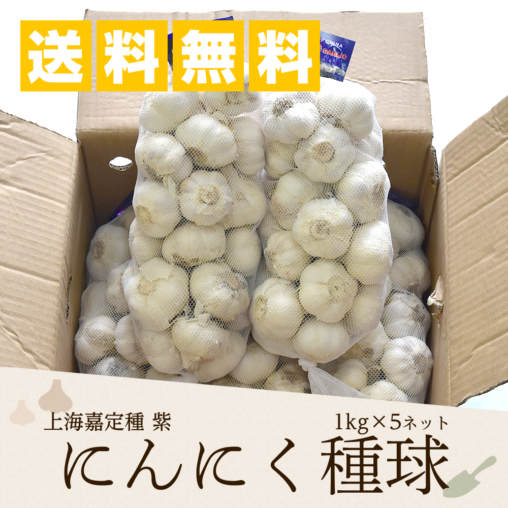 にんにく種球 1kg×10ネット 中国産 上海嘉定種（ホワイト）