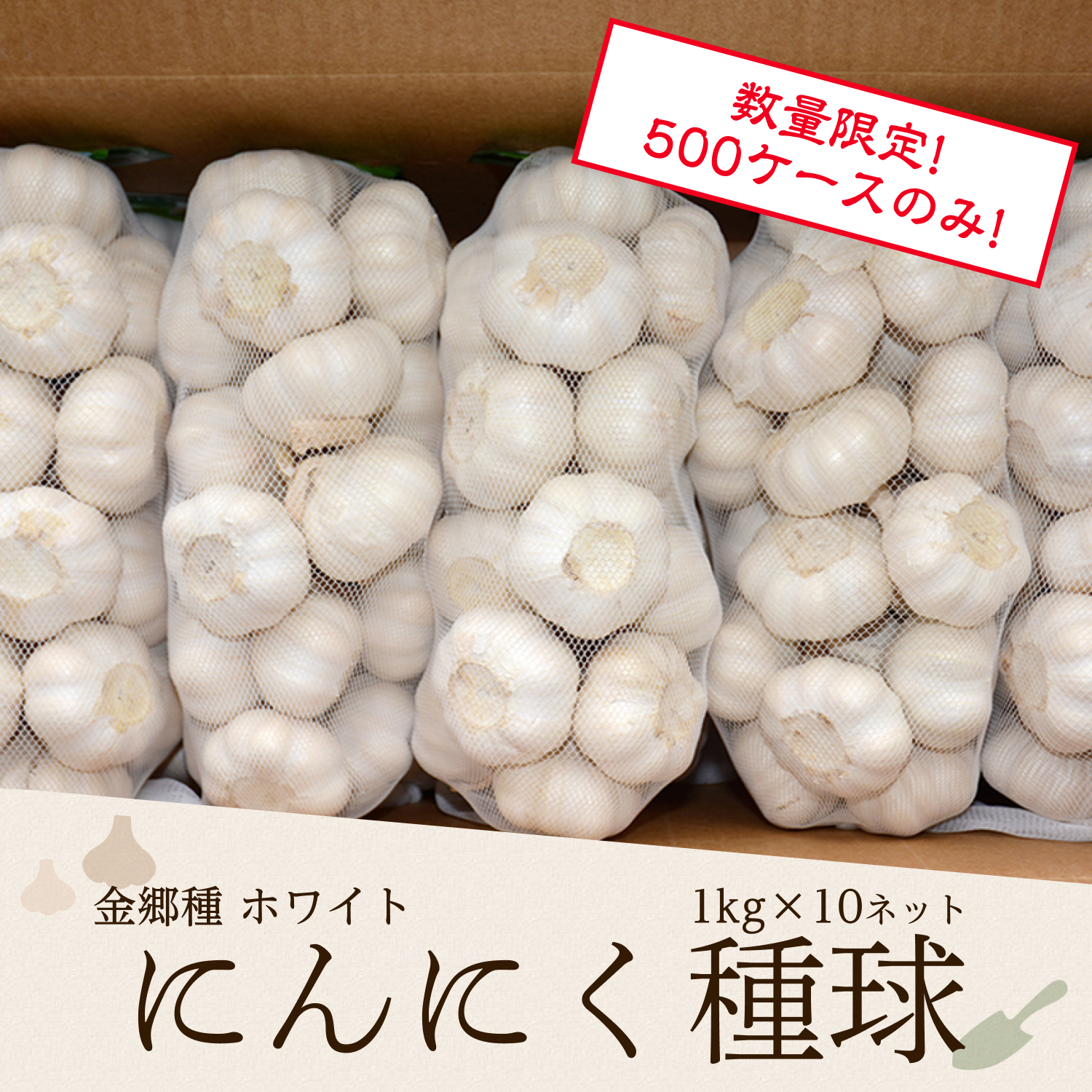 にんにく種球 1kg×3ネット