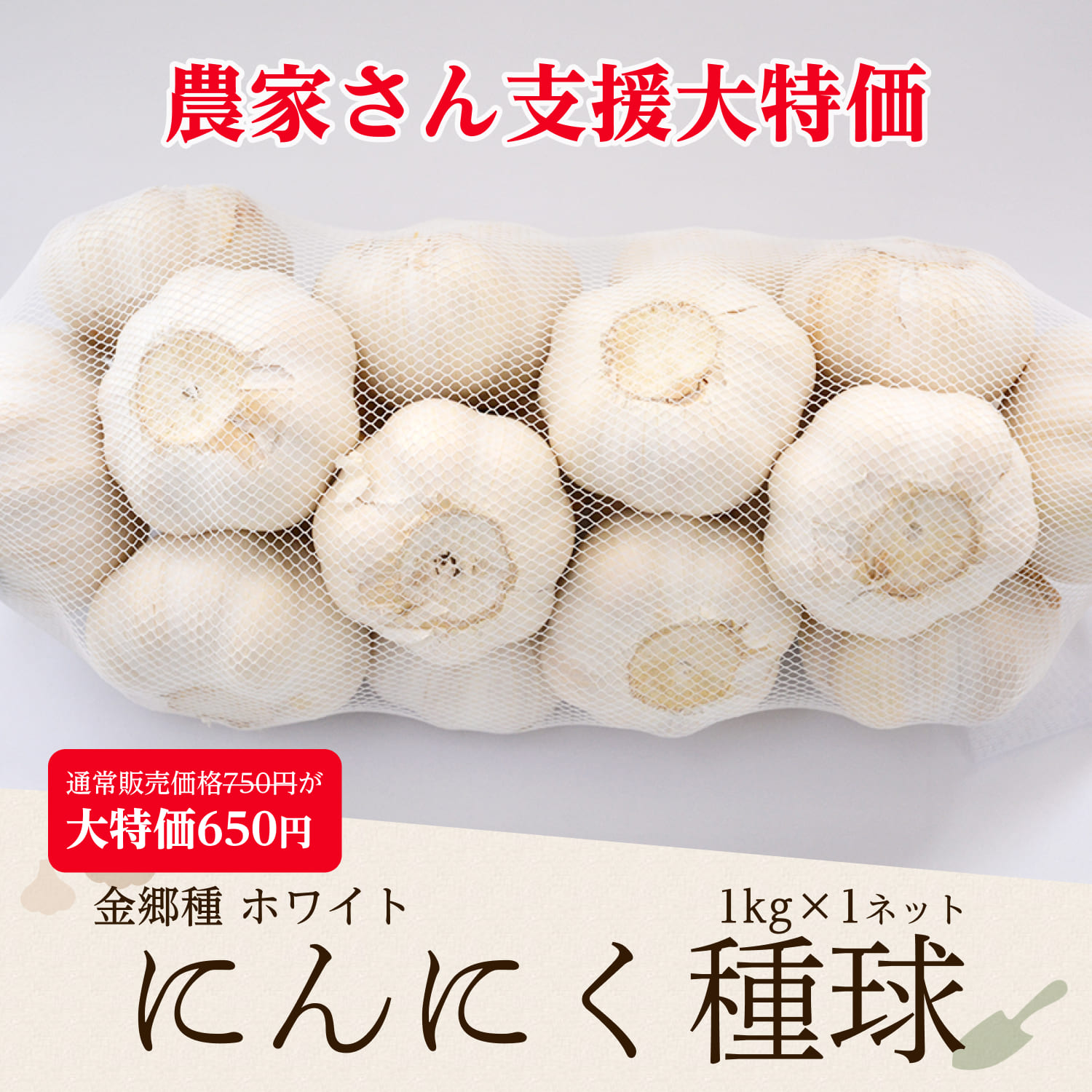 にんにく種球 1kg×1ネット 中国産 上海嘉定種（ホワイト）