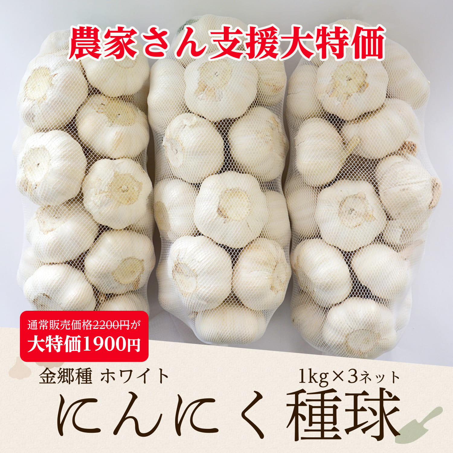 にんにく種球 1kg×3ネット 中国産 上海嘉定種（ホワイト）