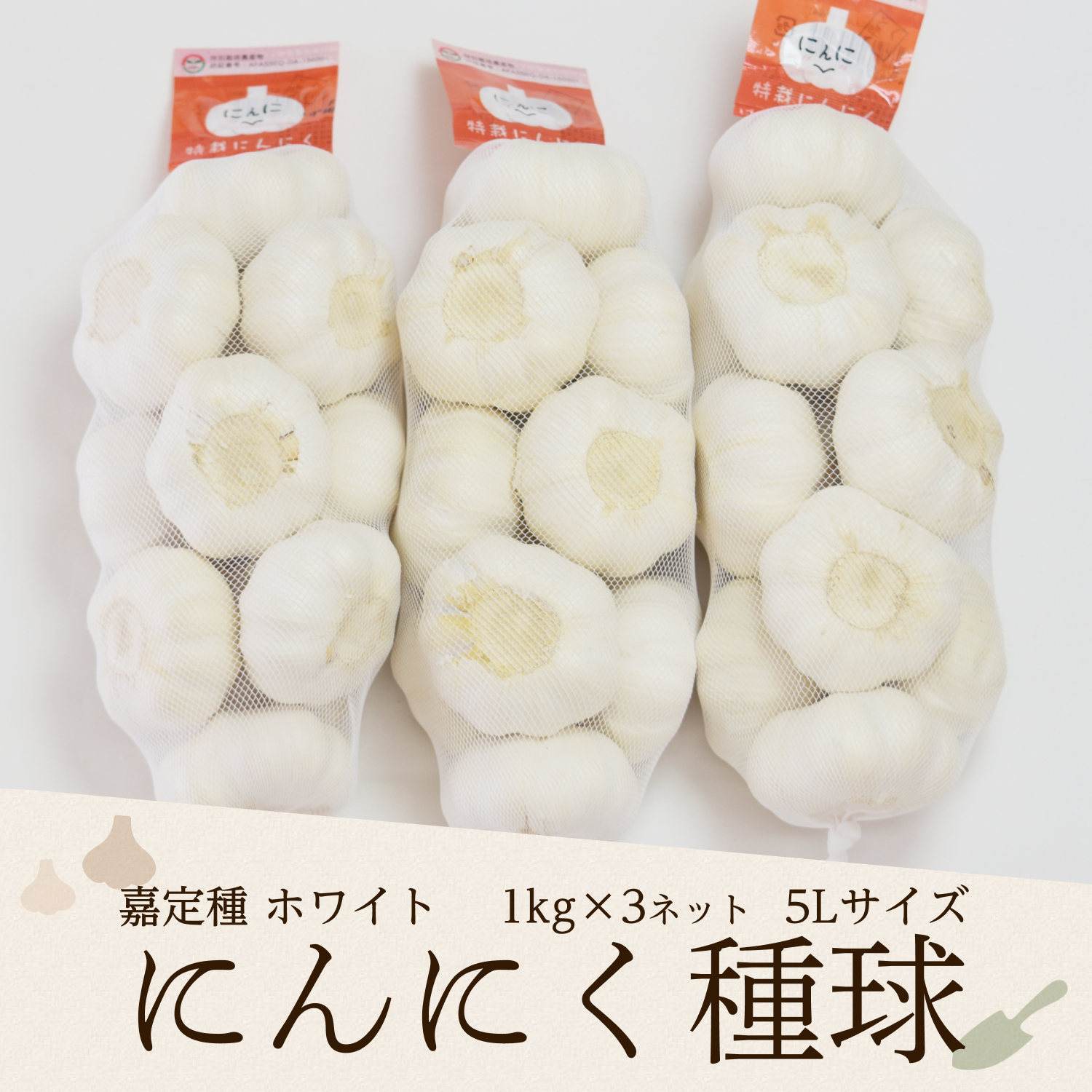 2025年度産 嘉定種ホワイトにんにく種球（5L） 1kg×3ネット 中国産（特