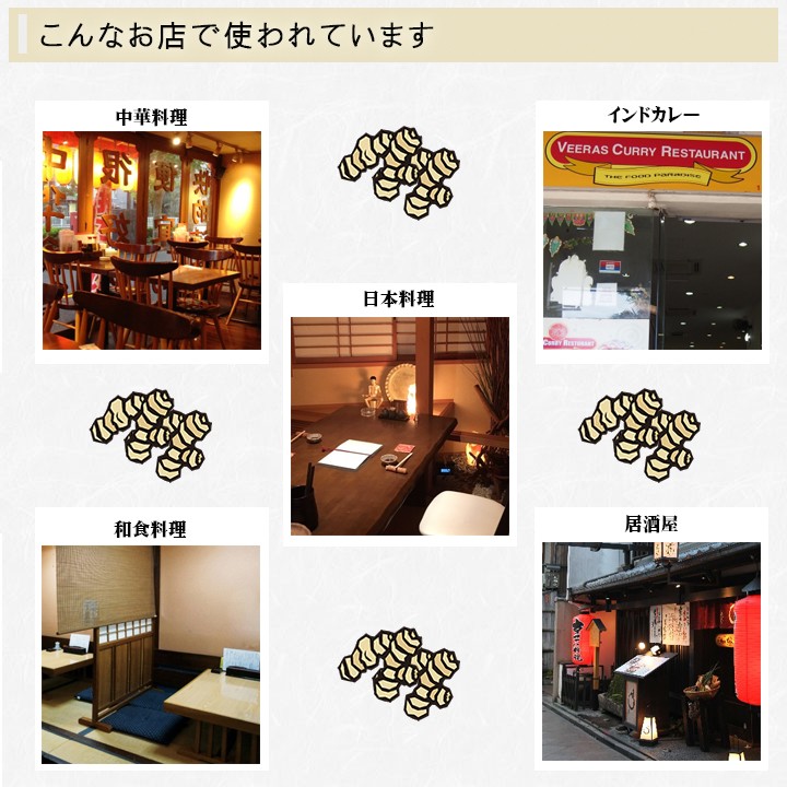 ペースト生姜（冷凍）