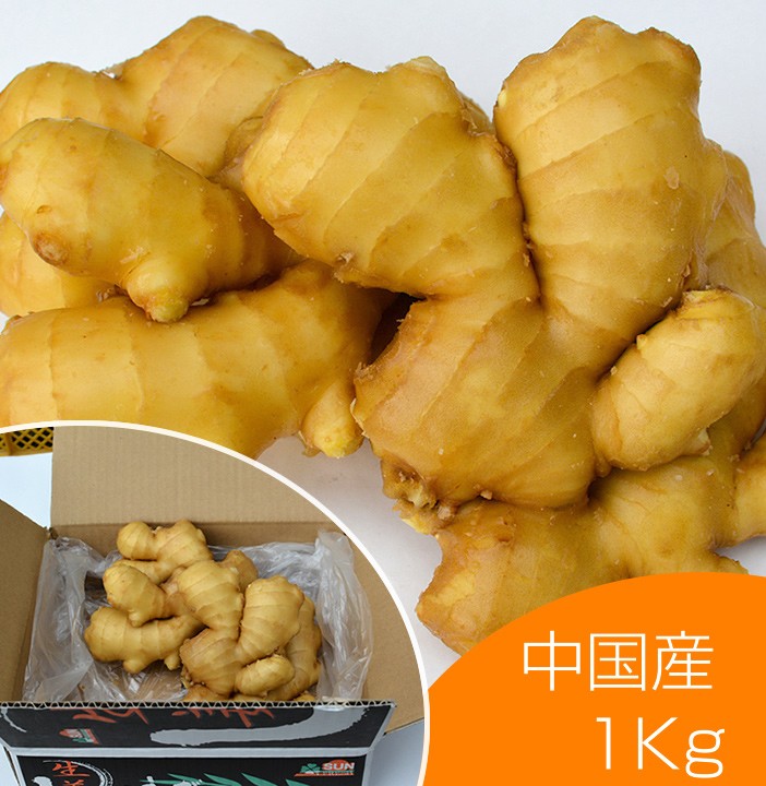 食用 中国産 黄金生姜 1kg（近江生姜 黄色） : seika-china-1 : 生姜工房 - 通販 - Yahoo!ショッピング