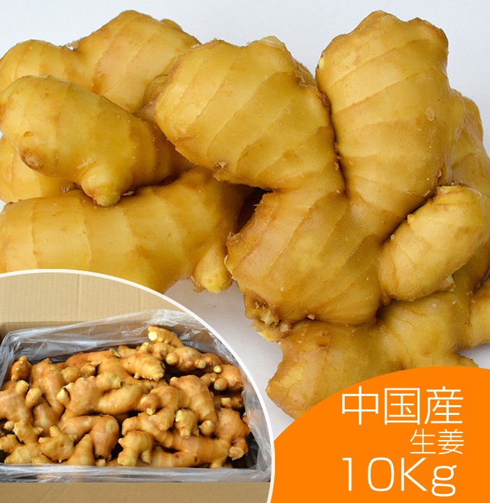 食用 中国産 黄金生姜 10kg（近江生姜 黄色） : seika-china-10 : 生姜 