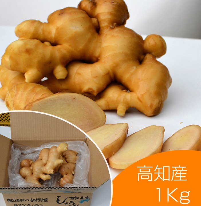 食用 高知県産近江生姜（白）1kg : seika-kouchi-1 : 生姜工房 - 通販