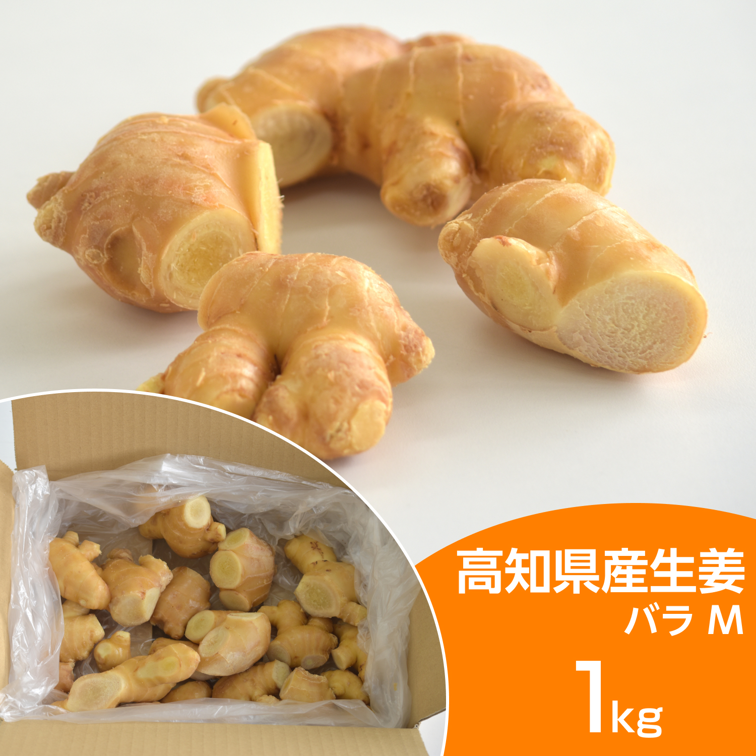 高知県産土佐一1kg