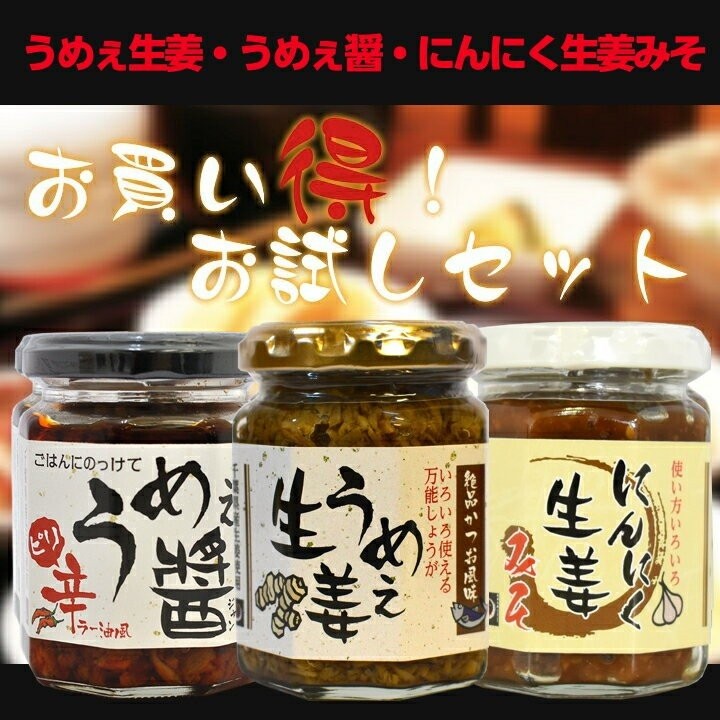 おかず生姜 お試しセット