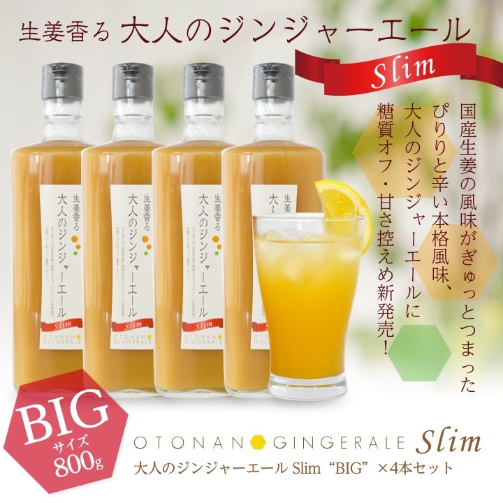 業務用 大人のジンジャーエールSlim 800g 4本 送料無料(沖縄、離島を