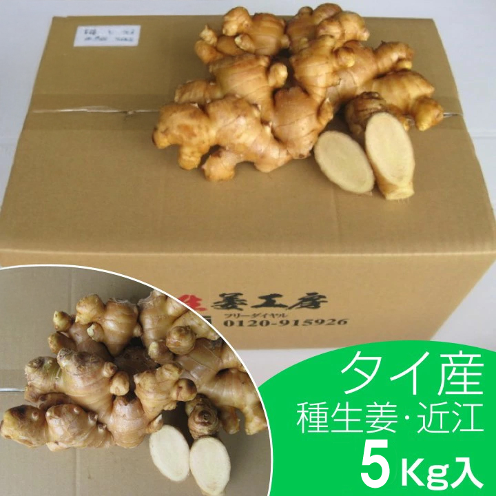 【種生姜】タイ産 近江生姜（白）10kg