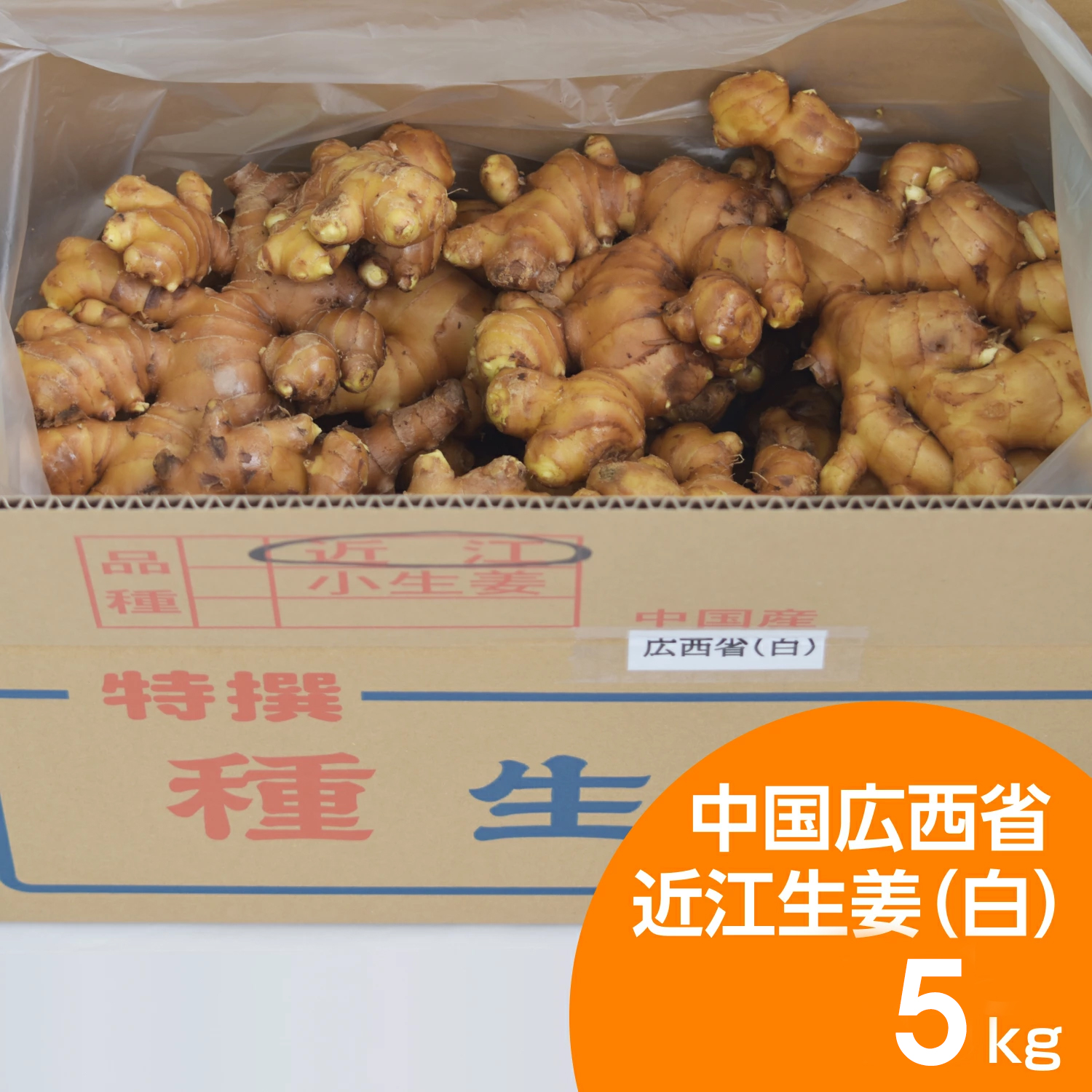 【種生姜】タイ産 完熟種生姜（近江生姜 白）10kg