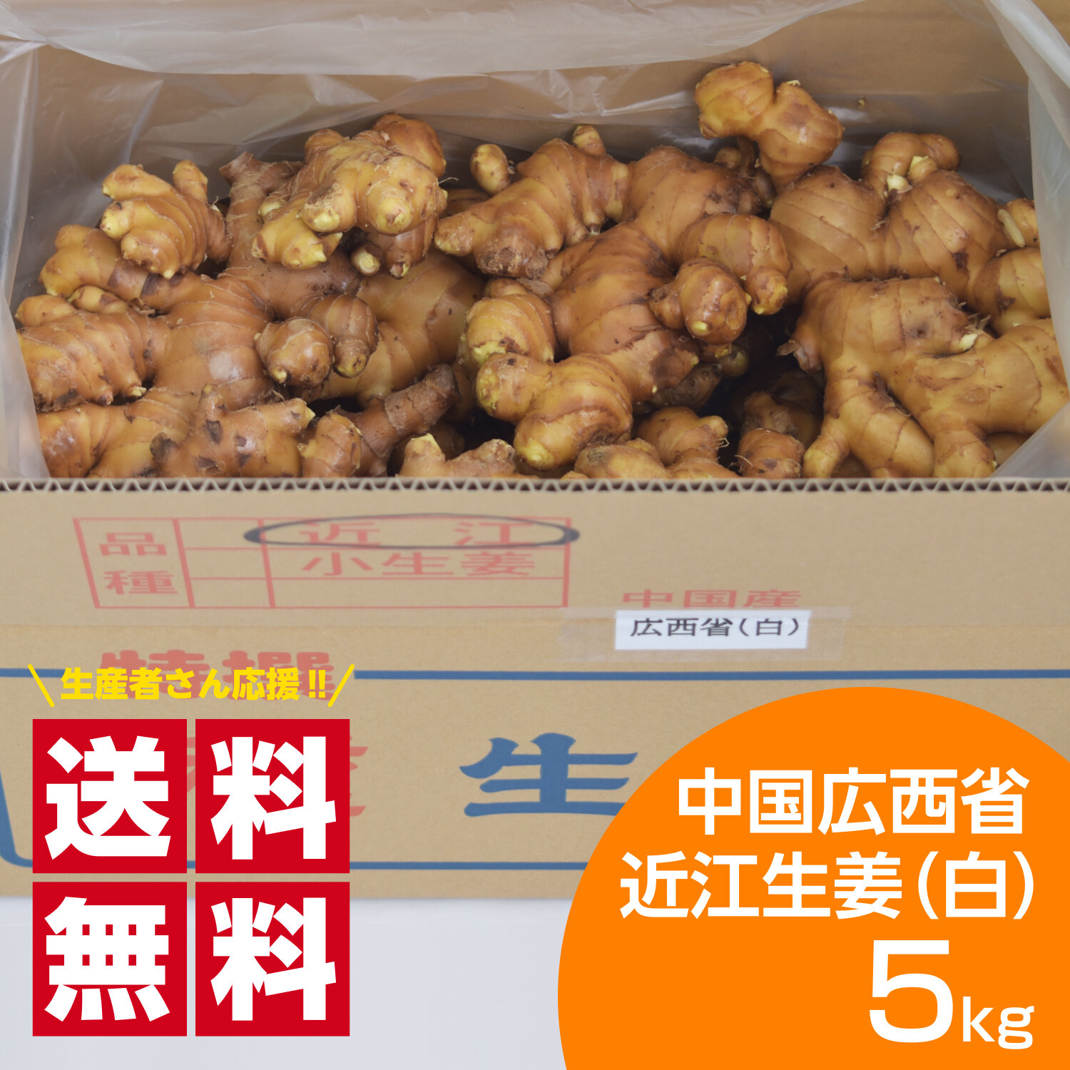 種生姜 中国広西省近江生姜（白）5kg 送料無料（沖縄除く） : 生姜工房