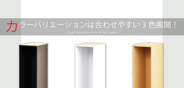 すき間収納ラック【GaP】専用枠　収納ケース2杯用