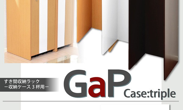 すき間収納ラック【GaP】専用枠 収納ケース3杯用