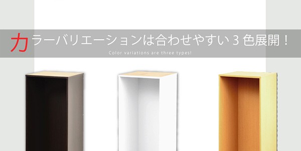 すき間収納ラック【GaP】専用枠 収納ケース3杯用