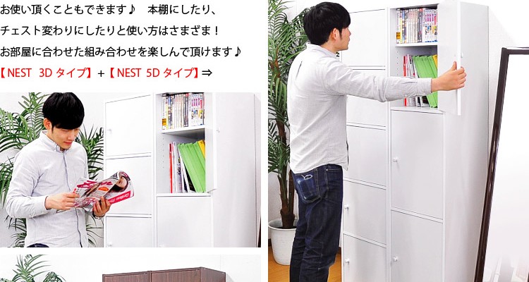 マルチカラーボックス3D【NEST.】