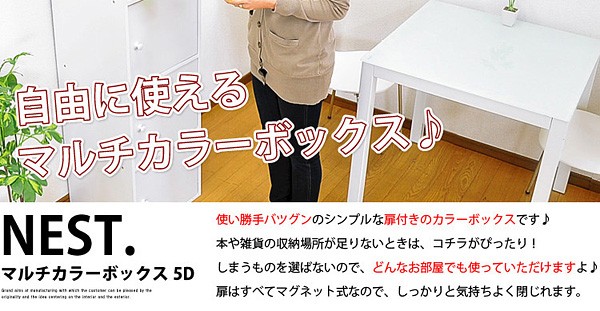 マルチカラーボックス5D【NEST.】