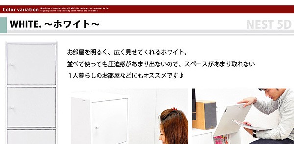 マルチカラーボックス5D【NEST.】