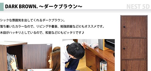 マルチカラーボックス5D【NEST.】