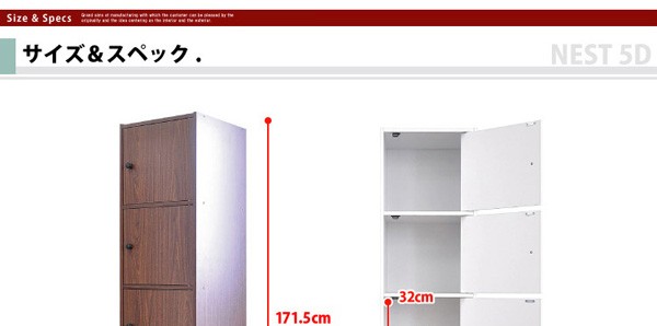 マルチカラーボックス5D【NEST.】