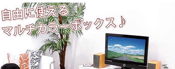 マルチカラーボックス5D【NEST.】