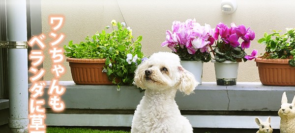 ジョイント式人工芝パネルタイプ【30x30cm】10枚セット