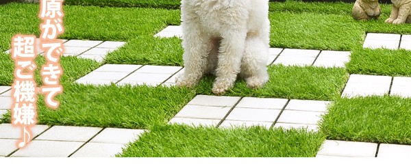 ジョイント式人工芝パネルタイプ【30x30cm】10枚セット