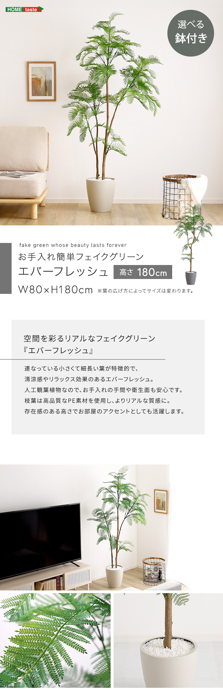 エバーフレッシュ フェイクグリーン 高さ180cm 観葉植物 フェイク 大型